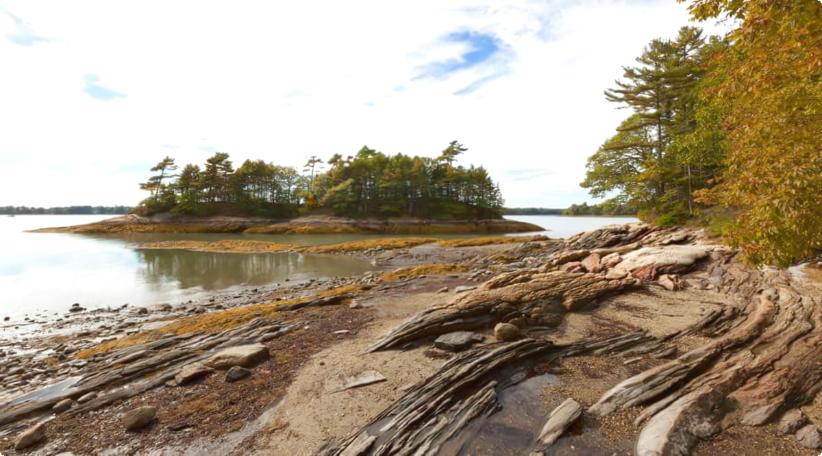 Las mejores opciones de alquiler de coches en Puerto Libre